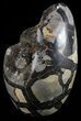 Polished Septarian Geode Sculpture - Black Crystals #67967-2